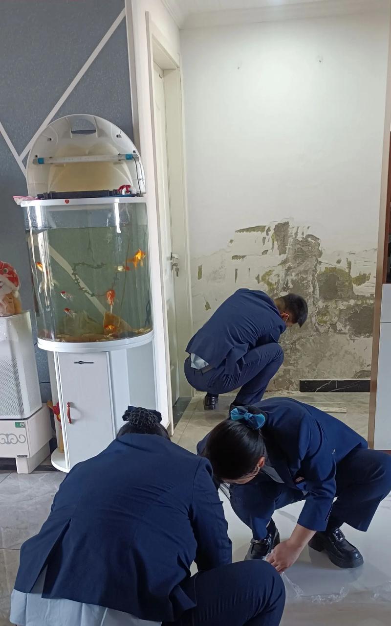 昆明物业管理案例分析：探索高效服务之道