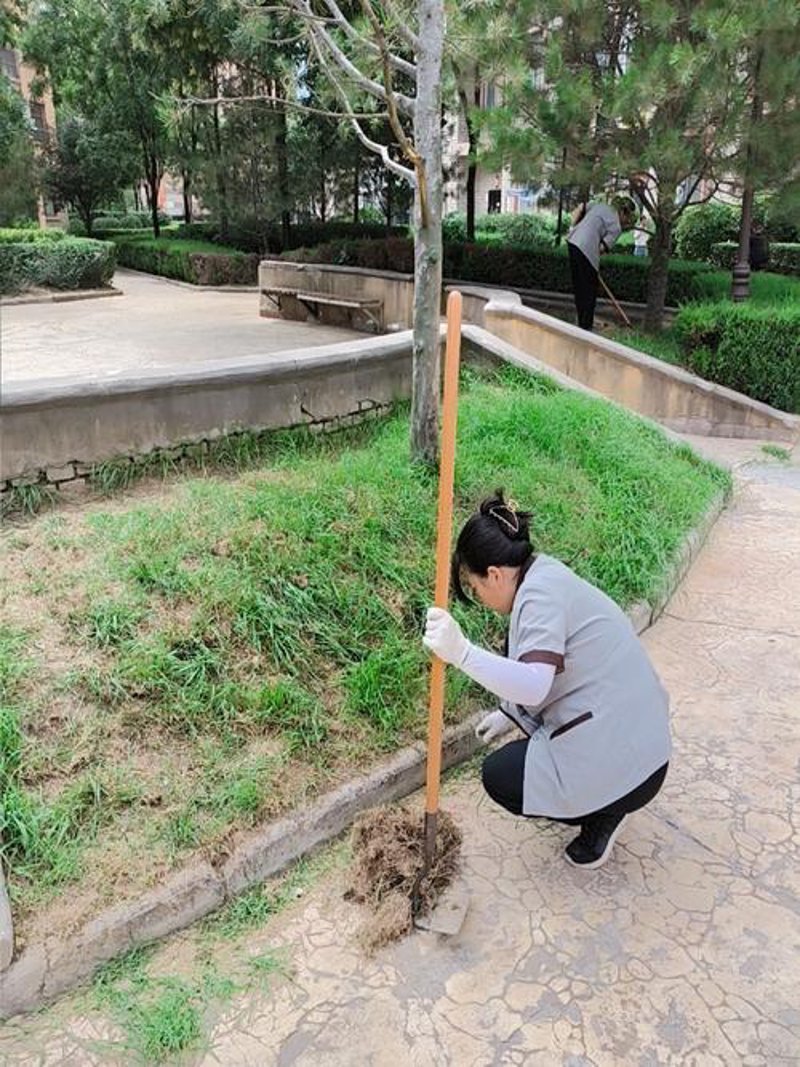 昆明物业管理：城市生活的贴心守护者